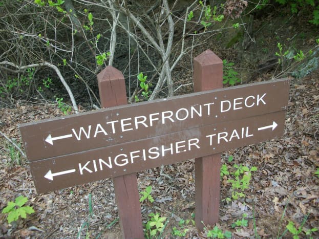 Kingfisher Trail at McDowell Nature Preserve, Charlotte, NC.