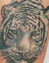 White tiger tattoo designs can be inspired by simply looking at other white tiger tattoos. This is a great way to gain inspiration and ideas for your white tattoo.