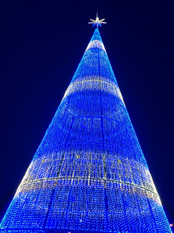 Mile High Tree in Denver, Colo. with blue and white lights