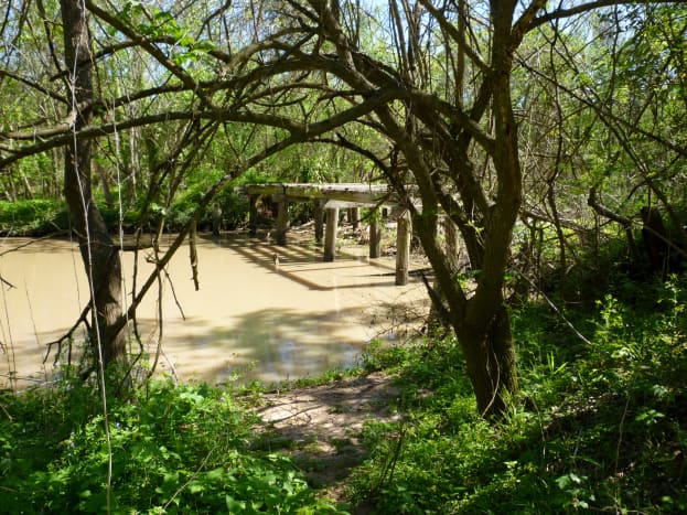 Oyster Creek  in Cullinan Park