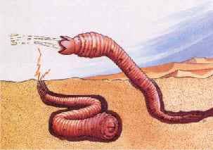 The Mongolian death worm