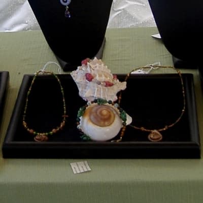 Sea Shells Displaying Bracelets