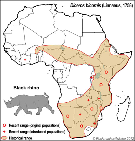 Black Rhino range map