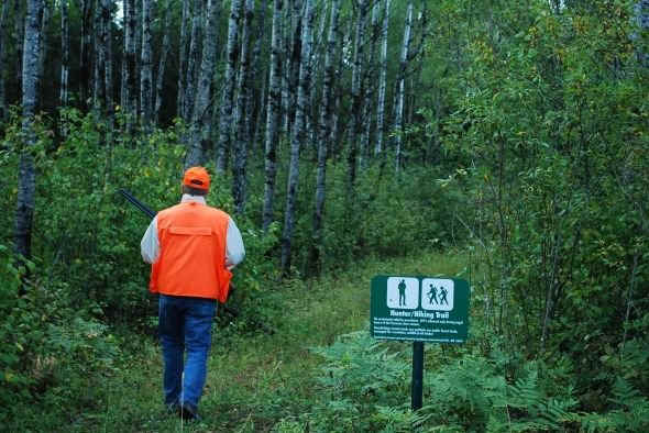 Hunter walking trails in Koochiching County, Minnesota.