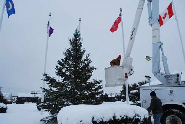 International Falls crews string lights on a Christmas Tree set up at the end of 3rd Street, adjacent to the Chamber of Commerce/Convention and Visitors Bureau offices. The next four photos are courtesy of Janine Burtness of the CVB.