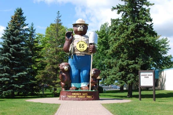 Smokey became the symbol of forest fire protection in 1945, making him 65 years old. Should he retire?