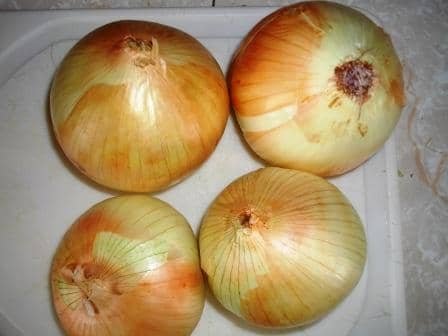 Select 4 large onions