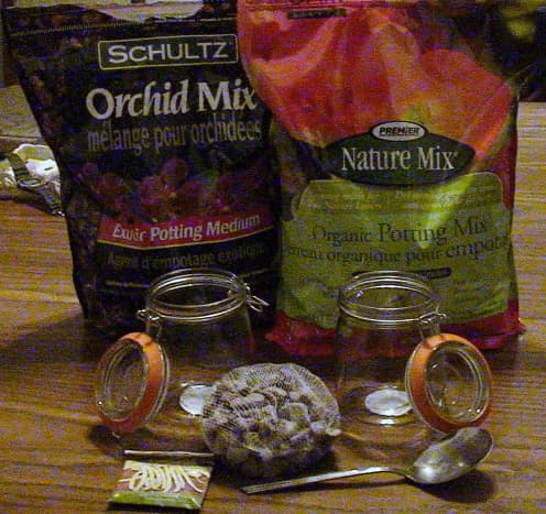 Materials required to make the terrariums.  The two lidded jars were bought from the dollar store for under $2.