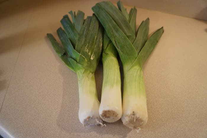 There are many health benefits in eating a diet which includes leeks and fennel bulb.