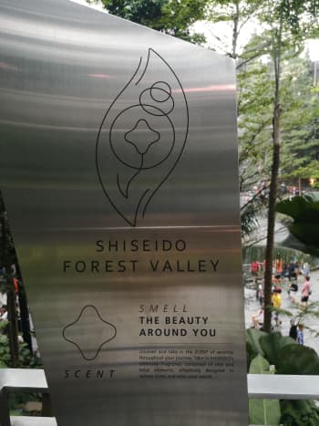 Shiseido Forest Valley