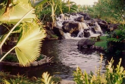 Waterfalls and lush foliage at the Ritz-Carlton Mauna Lani Hotel in Hawaii