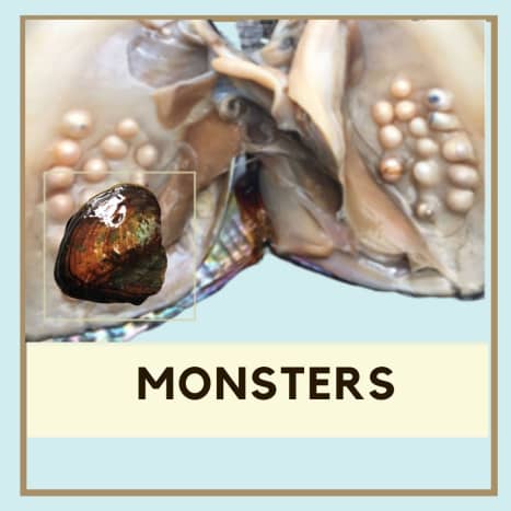 Monster oysters are larger than most and can harbor a large number of pearls at one time. 