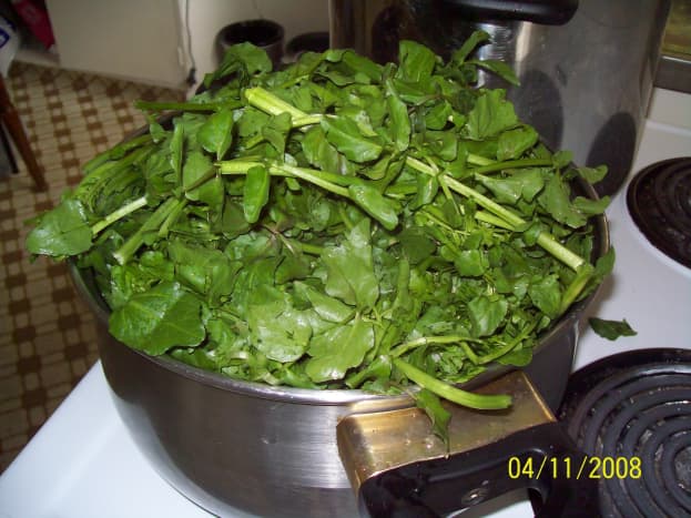 Watercress fresh just added to pot