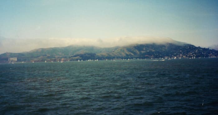 Sausalito viewed from a distance aboard the ferry.
