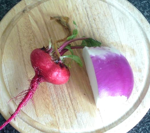Chioggia beetroot and white turnip