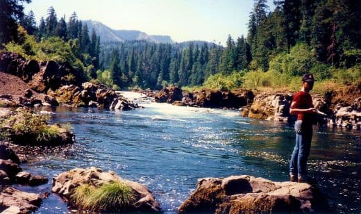 Fishing the Umpqua River / Oregon