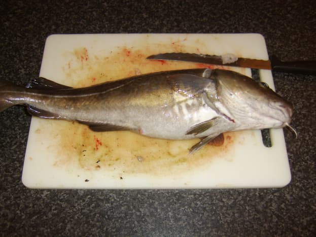 A deep eliptical cut is made behind the codling's pectoral (head) fin
