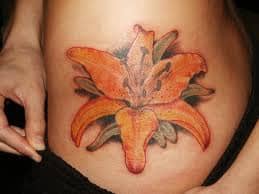 An Orange Lily