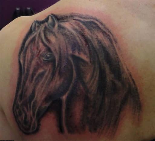 Horse Tattoo, Swirly Wanx Sinatra, Dragons Lair Tattoo, Brisbane