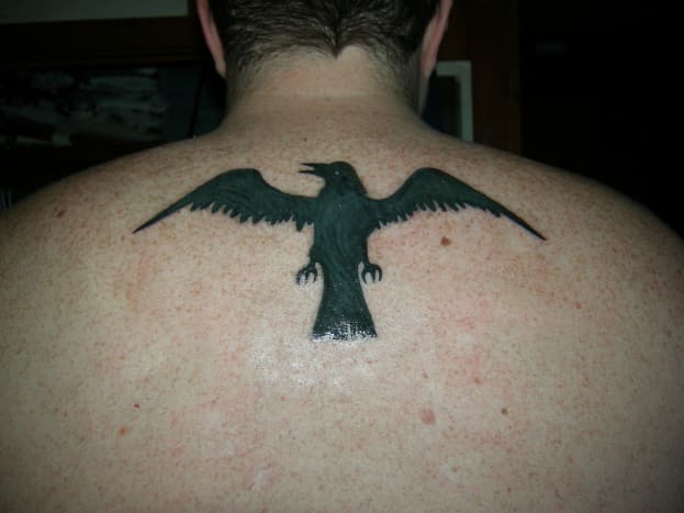 Raven tattoo on upper back.