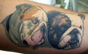 Bulldog Tattoos: history, meanings and ideas - Tattoo Life
