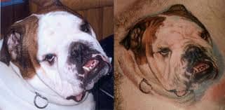 What ideas do you have in mind for a bulldog tattoo?