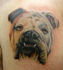There are many different bulldog designs to choose from. 