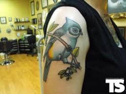 Owl  Blue Jay Leg Sleeve