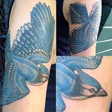 Blue Jay Tattoo Meanings Designs Tatring