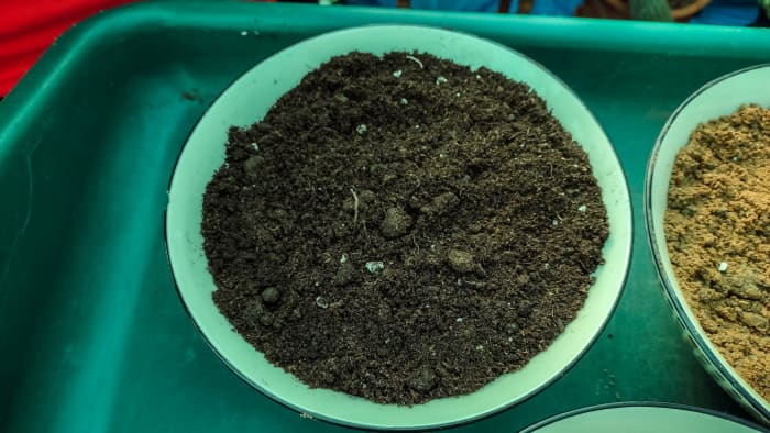 Use loam-based soil for cacti and succulents.