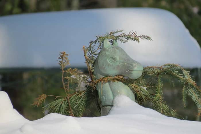 Our garden train mascot Harry the Horse adorned with pine &amp; snow.