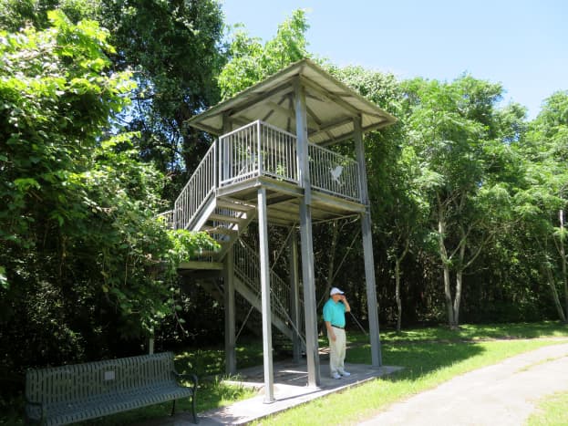 Two-story viewing stand and a bench