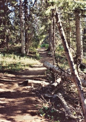 Alpine Pond Trail at Cedar Breaks