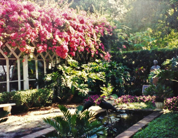 Bougainvilleas cascading over a portion of the Thomas Edison home in Florida