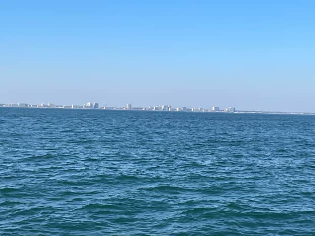 The shore line of Virginia Beach. It is just amazing that you can see the high-rise hotels and whales at the same time. 