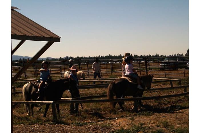 Riding ponies at Sunriver Stables (c) Stephanie Hicks