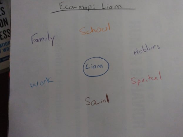 ecomap social work meaning