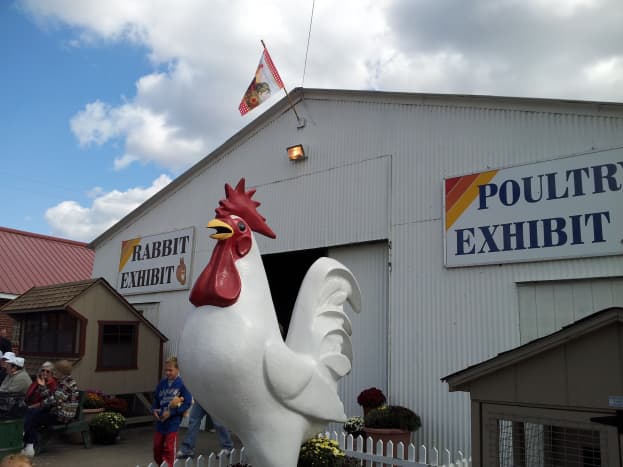 The outside of a poultry exhibit at a fair.