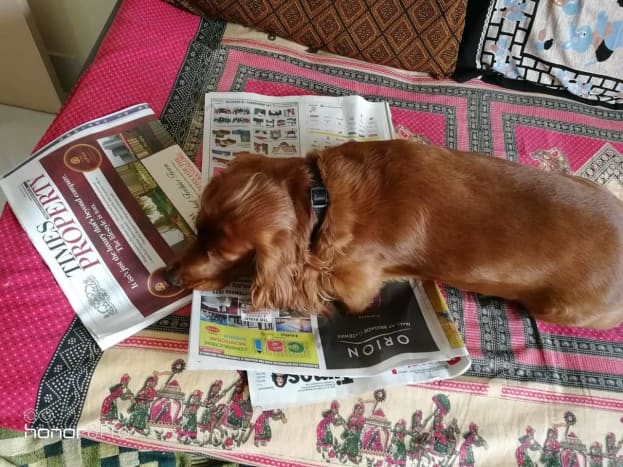 Rusty loves to keep up with the news.