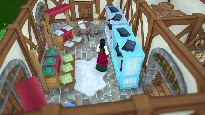 Here's a look inside my clothing shop!