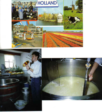 acre flowerfields of holland, gouda cheese factory