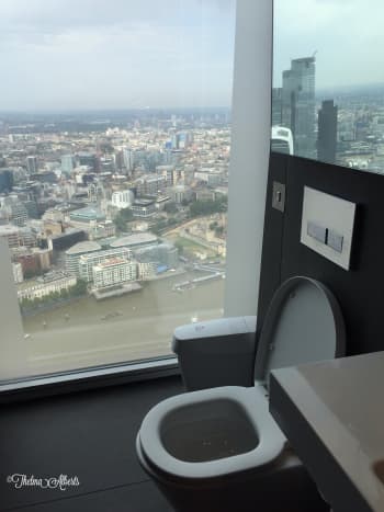 The toilet in the Shard with the overlooking view of the city of London. 