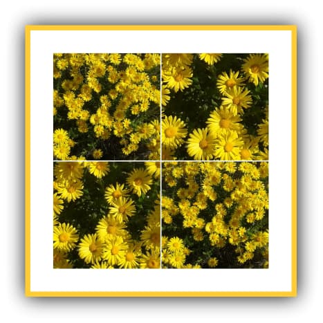 the-happy-colour-of-yellow-and-its-moods-through-art