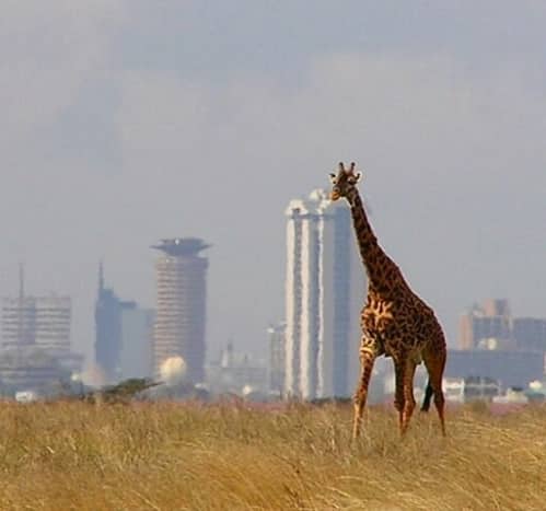 utilfredsstillende bule Prevail 8 Beautiful and Fun Places to Visit in Kenya - WanderWisdom