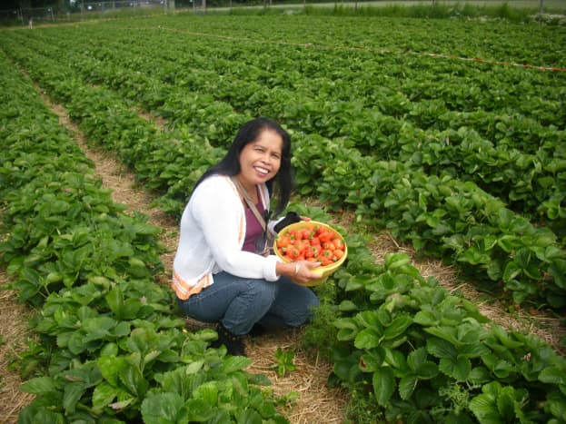 Me harvesting strawberries.