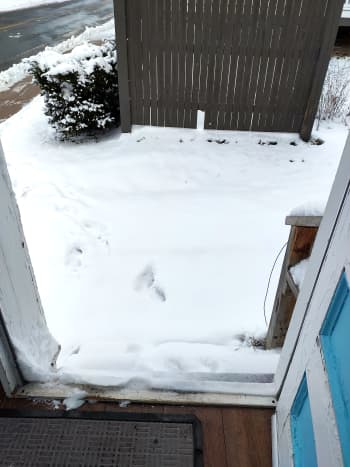 A view of the snow-covered mat prior to connecting it to the power outlet