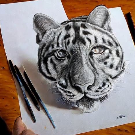 3D Illusion Drawing | Optical Art Singapore | Easy To Draw
