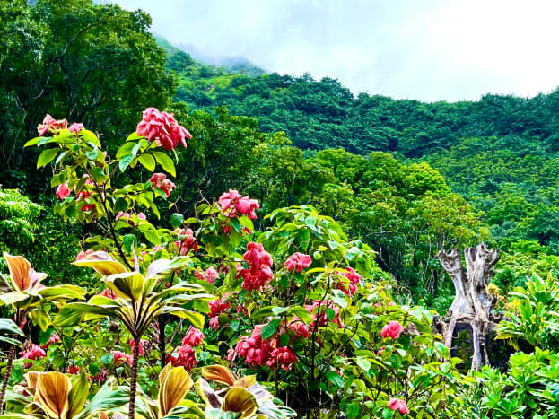 Nature and Journaling - The perfect Combination - Friends of Boerner  Botanical Gardens