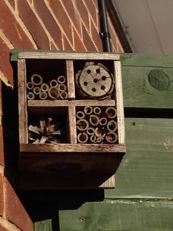 Bug Hotel with a choice of rooms