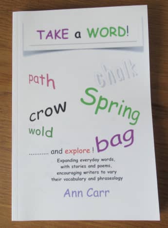 Front Cover of 'Take a Word!'
